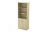 Semi Swinging Door High Cabinet