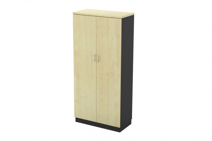 Swinging Door Medium Cabinet