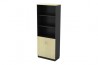 Semi Swinging Door High Cabinet