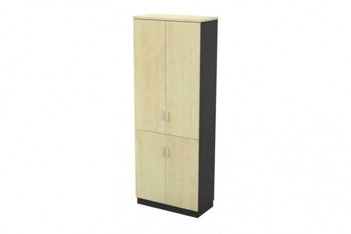 Swinging Door High Cabinet