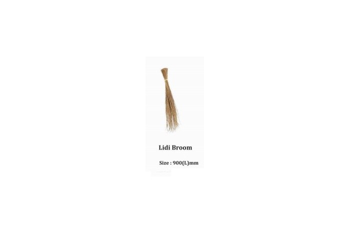 Lidi Broom