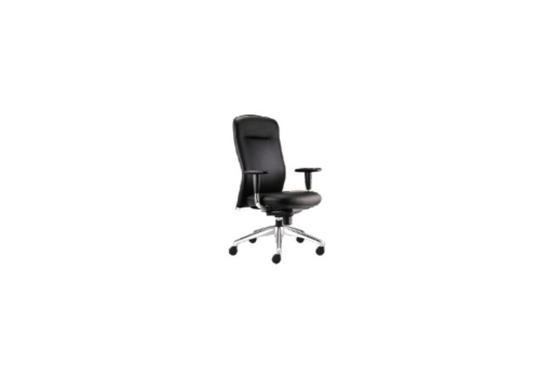 Godrej kareena online chair