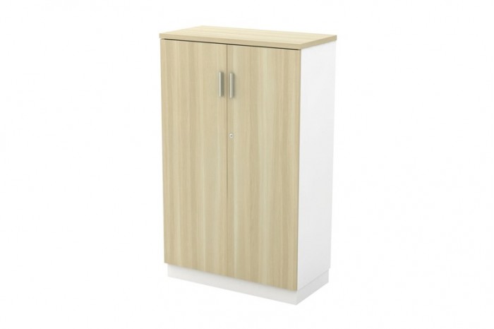 Swinging Door Medium Cabinet