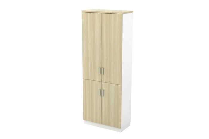 Swinging Door High Cabinet