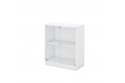 SWINGING GLASS DOOR LOW CABINET